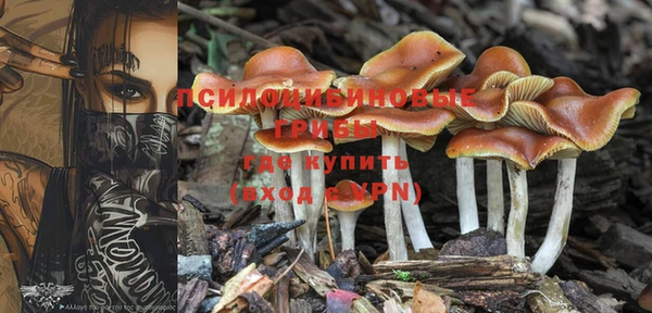 героин Абинск