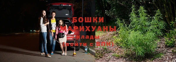 ПСИЛОЦИБИНОВЫЕ ГРИБЫ Магас