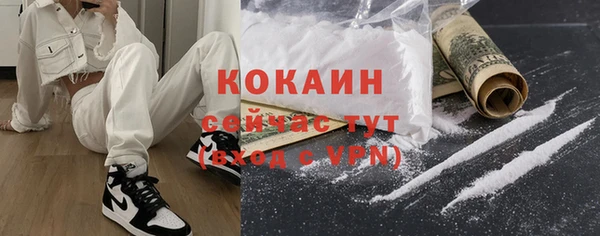 ПСИЛОЦИБИНОВЫЕ ГРИБЫ Магас