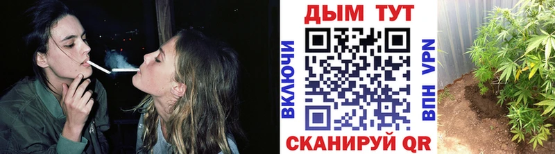 магазин продажи   Домодедово  Марихуана MAZAR 